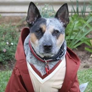 Meet your Posher, Anne